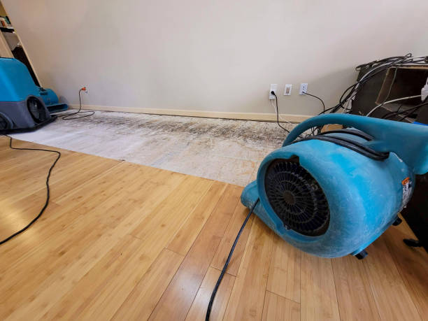 Professional Flood Damage Cleanup technician working in Burnet, TX